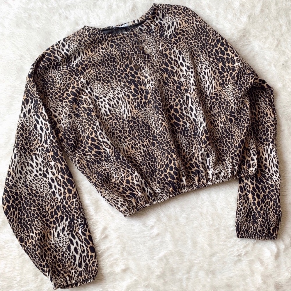 Zara Leopard Crop Top